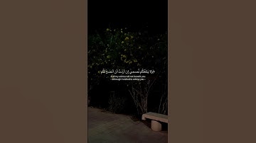 سورة هود ❤️. #explore #explorepage #اكسبلور #قرآن #قران_كريم