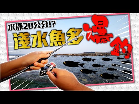 水深不到30公分的海邊，竟然有這麼多魚讓你連拉爆釣!
