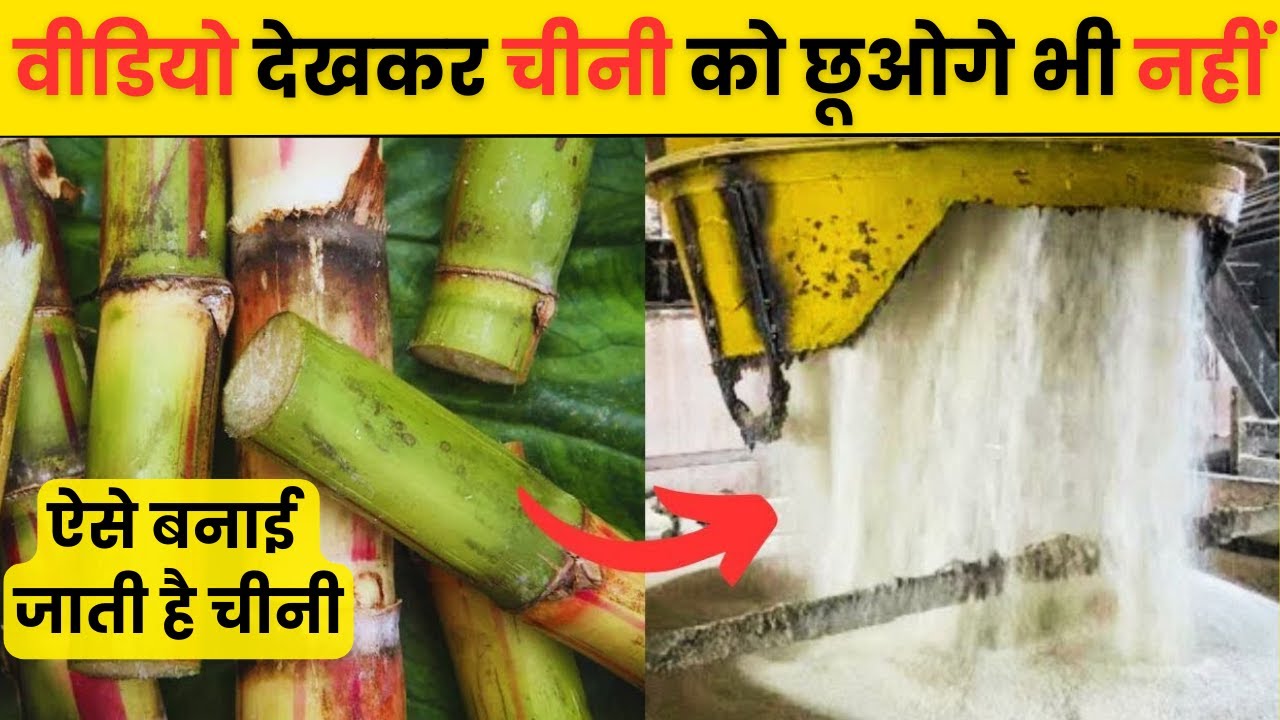 How Is Sugar Made In Factory Making Of Sugar Out how-is-sugar-made-in-factory-making-of-sugar-out