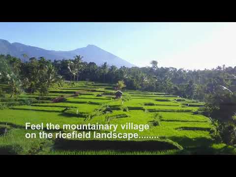 Tetebatu | The small Heaven on the island of Lombok | Indonesia