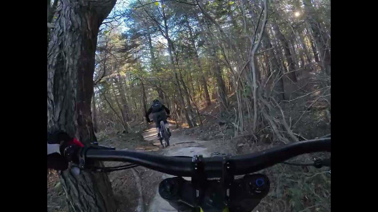 Finale Ligure Nato Base, Sentiero delle Niviere, Pino Morto 