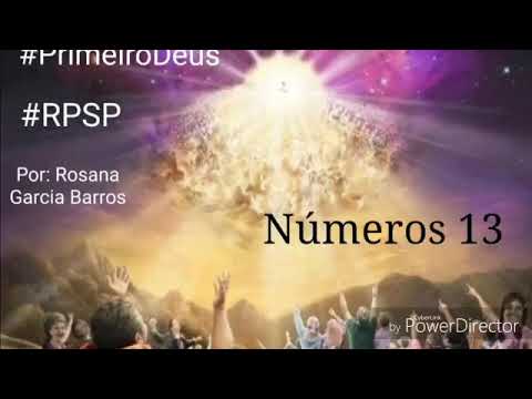 Números 13 - Rosana