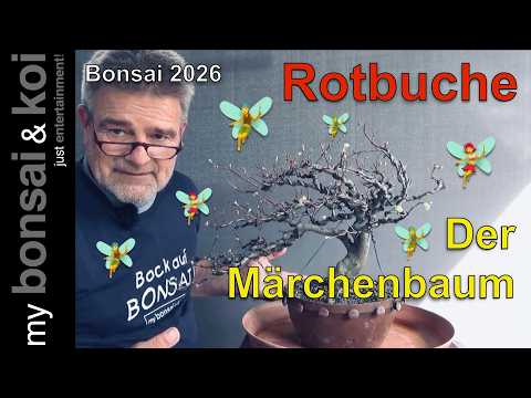 bonsai gießbrause Bonsai Gießkanne aus Kunstoff 3,0 Liter in Blau / Rene's Bonsai Baum –  Rene's Bonsai Baum main image 1