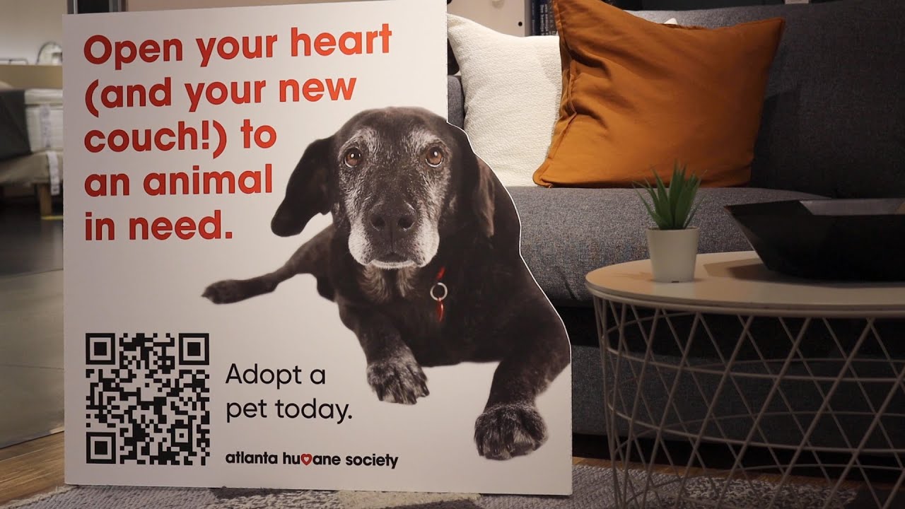IKEA Atlanta Supports the Atlanta Humane Society!