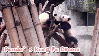 Auditions For The Next Kung Fu Panda Movie | iPanda screenshot 5