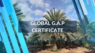 Tamara Farms | Global G.A.P Certificate for Good Agricultural Practice