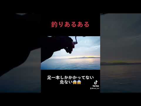 天草　釣り　エギング