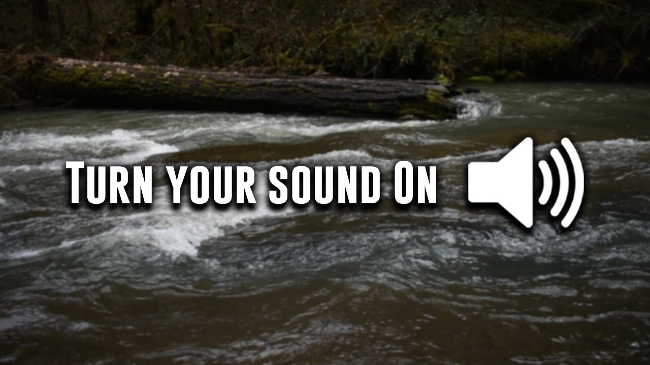 The Sounds Of Umpqua Oregon 🔉