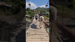 Horseback Riding In Përmet Is An Absolute Must