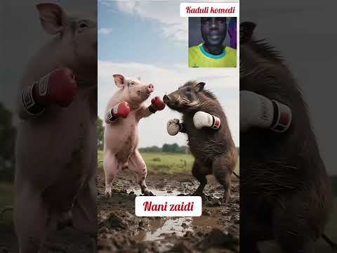 KUTANA NA NDONDI ZA MAANA Funny Comedy Comedymove 