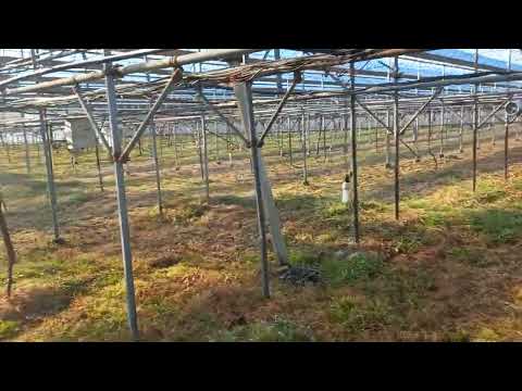 유튜브 미리보기