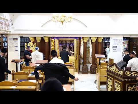 הרב מאיר דוד שמואלי שליט"א - כי תצא למלחמה