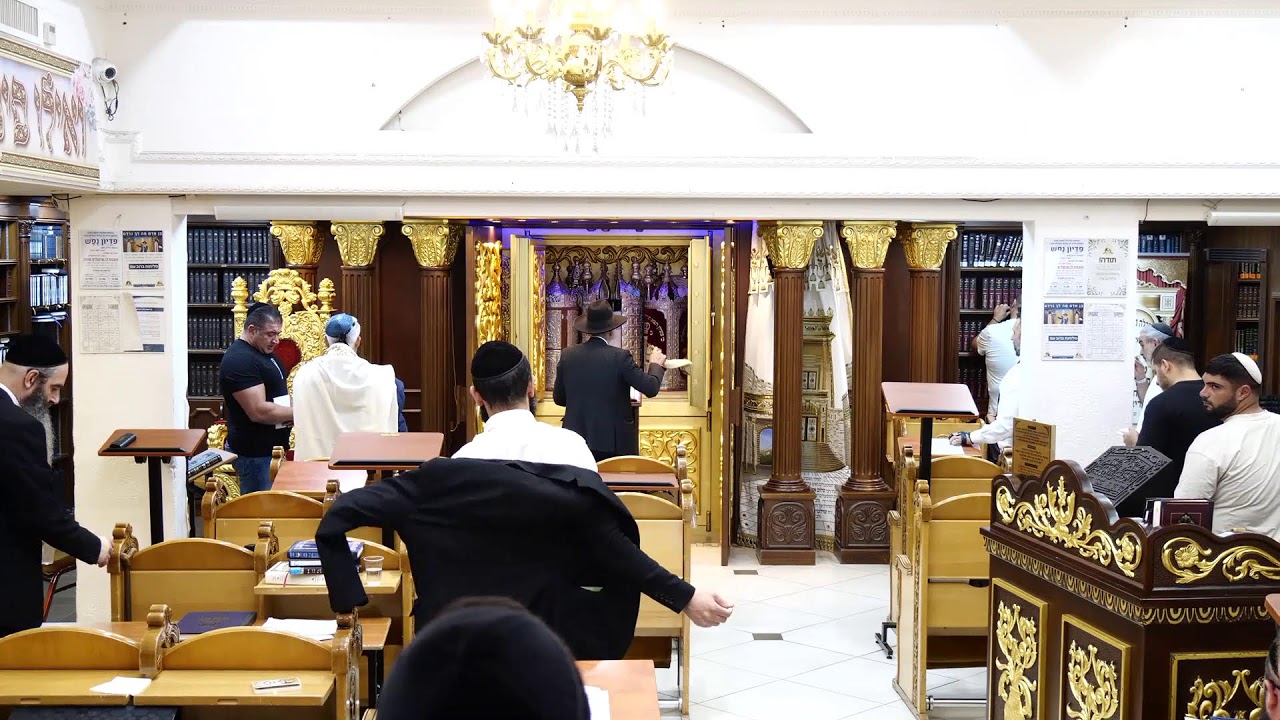 הרב מאיר דוד שמואלי שליט"א - כי תצא למלחמה
