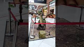 Dragon printre noi #shorts VIDEO