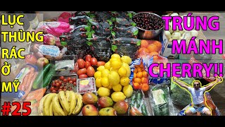 #25- LƯỢM MẤY CHỤC CÂN CHERRY TRONG THÙNG RÁC Ở MỸ | CUỘC SỐNG MỸ | CHỒNG TÂY VỢ VIỆT