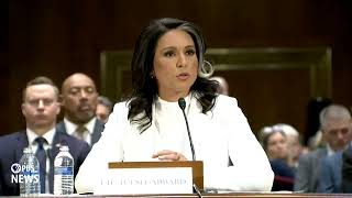 WATCH: Sen. Heinrich asks Gabbard about her 2017 meeting with Assad in Syria