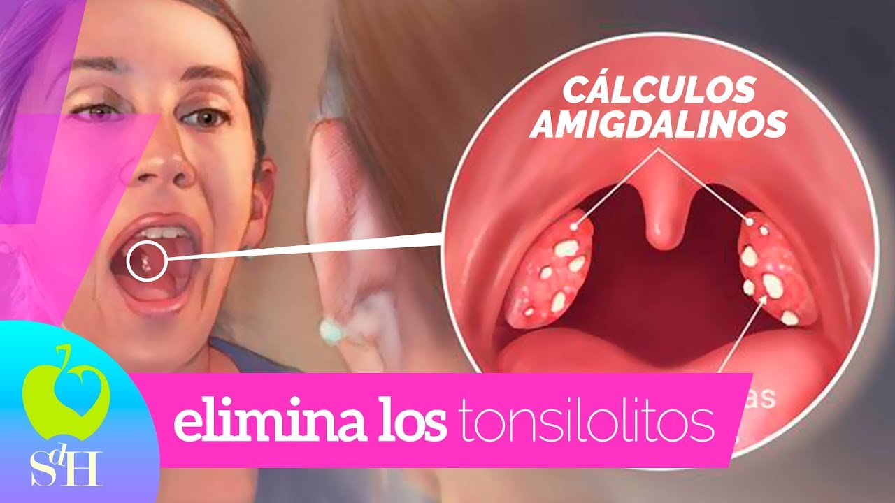 fauna del clima frio Ética Tres historias breves que no conocías sobre fauna del clima frio