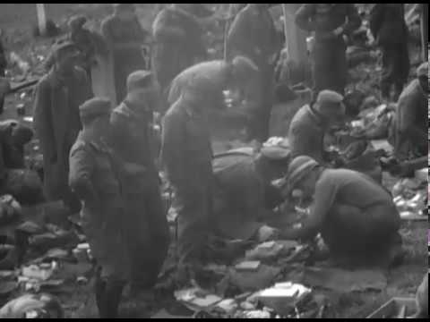 WW2: 86th Division Crosses the Danube River, Ingolstadt, Germany (April