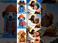 🐾Hero Pups Transformation: the Recycling Pup, the Flying Pup & the Leader #shorts#funny