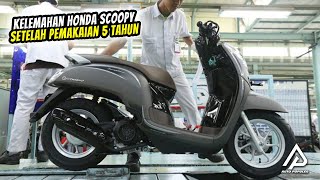 Kekurangan dan Kelebihan Honda Scoopy Setelah 5 Tahun pemakaian
