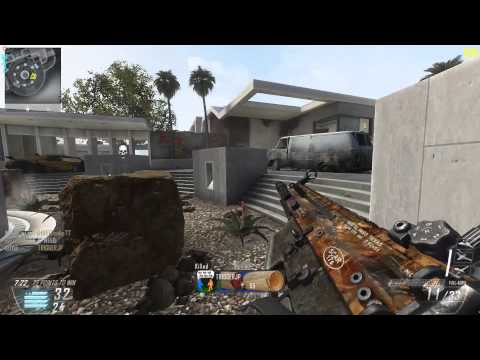 今更CoD:BO2 TDM　[PC版]