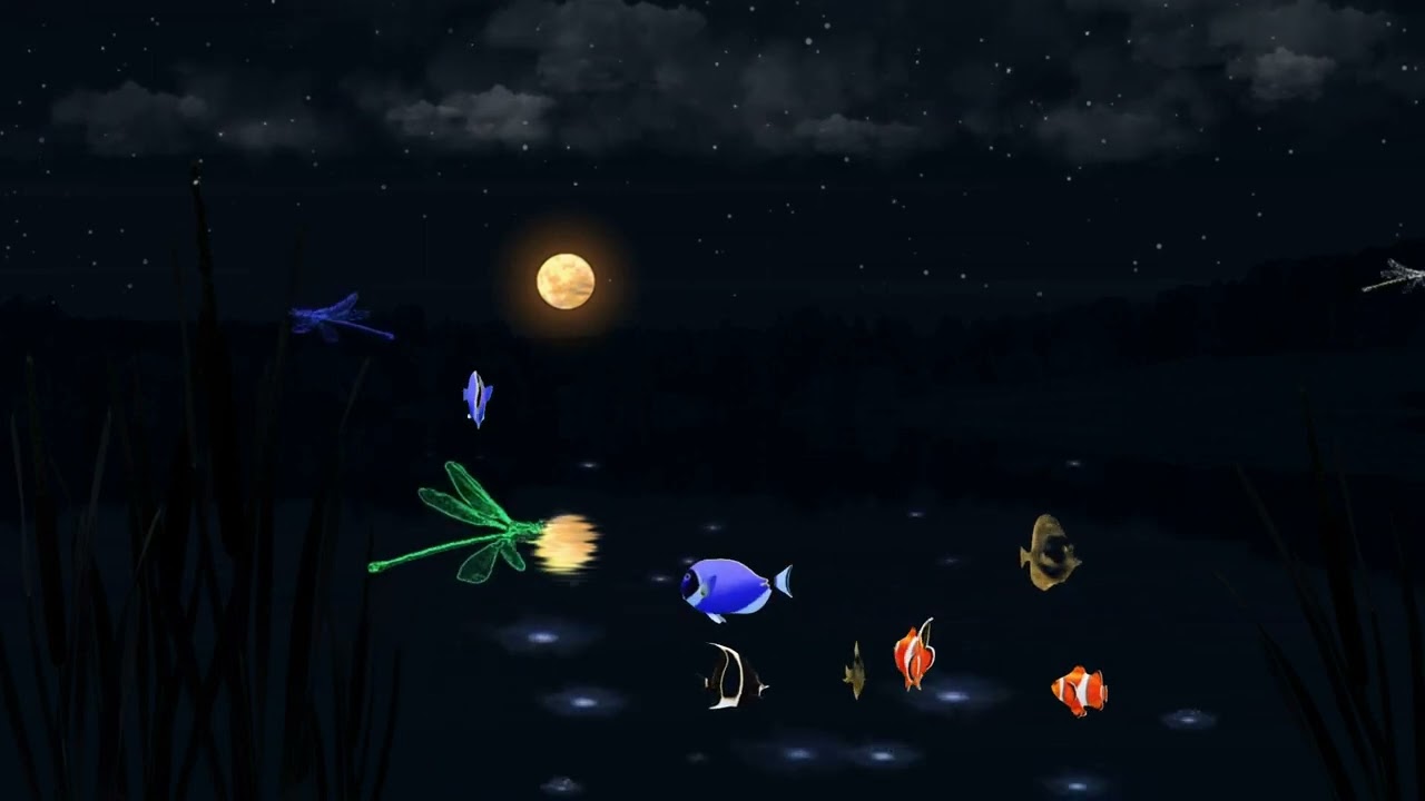 KIDSTV Magic Dream for Kids🐻Magical Dream Baby 🐻Magical Dream Baby Music🐻Magical Dream Baby Sleeping