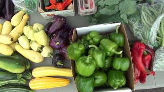 Grower's Food Hub | Resilient Living Minnesota