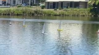 Race 5 - DF 65 Queensland interclub 2025 championship