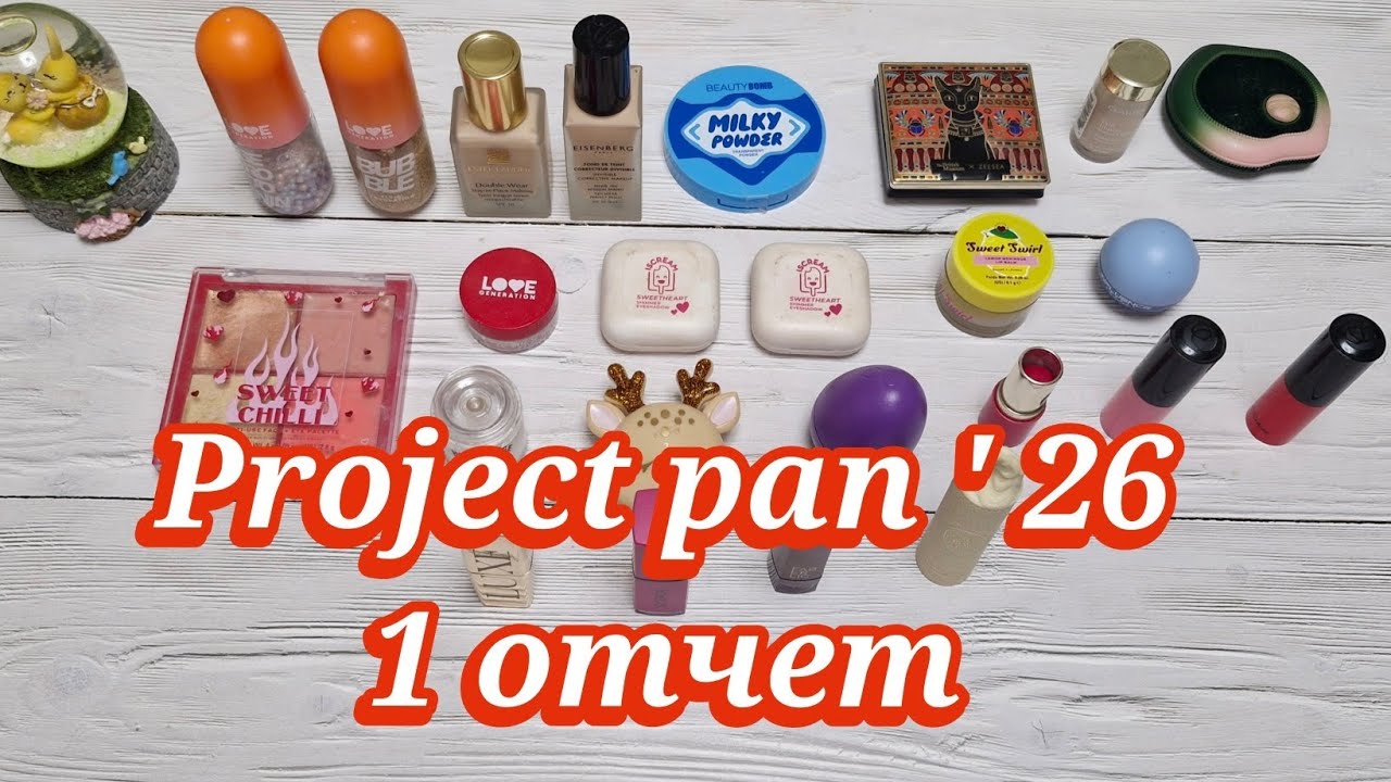 Project pan 2026. Первый отчет. Пока без пустышек 🤦 