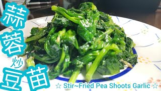 蒜蓉炒豆苗@雞翼達人 | 點炒豆苗清脆嫩綠 | 不出水 | 冇草青味 | 如何控制火力 | 烹調時間 | 蒜蓉豬油雞油炒豆苗最香 | Stir Fry Pea Shoots with Garlic