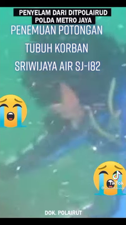 potongan tubuh manusia mengapung korban pesawat Sriwijaya SJ 182
