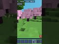 Flames smp please join.