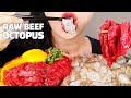 Raw Octopus and Beef ASMR *EXOTIC KOREAN FOOD* NO TALKING EATING SOUNDS MUKBANG 낙지탕탕이 노토킹 이팅사운드 먹방