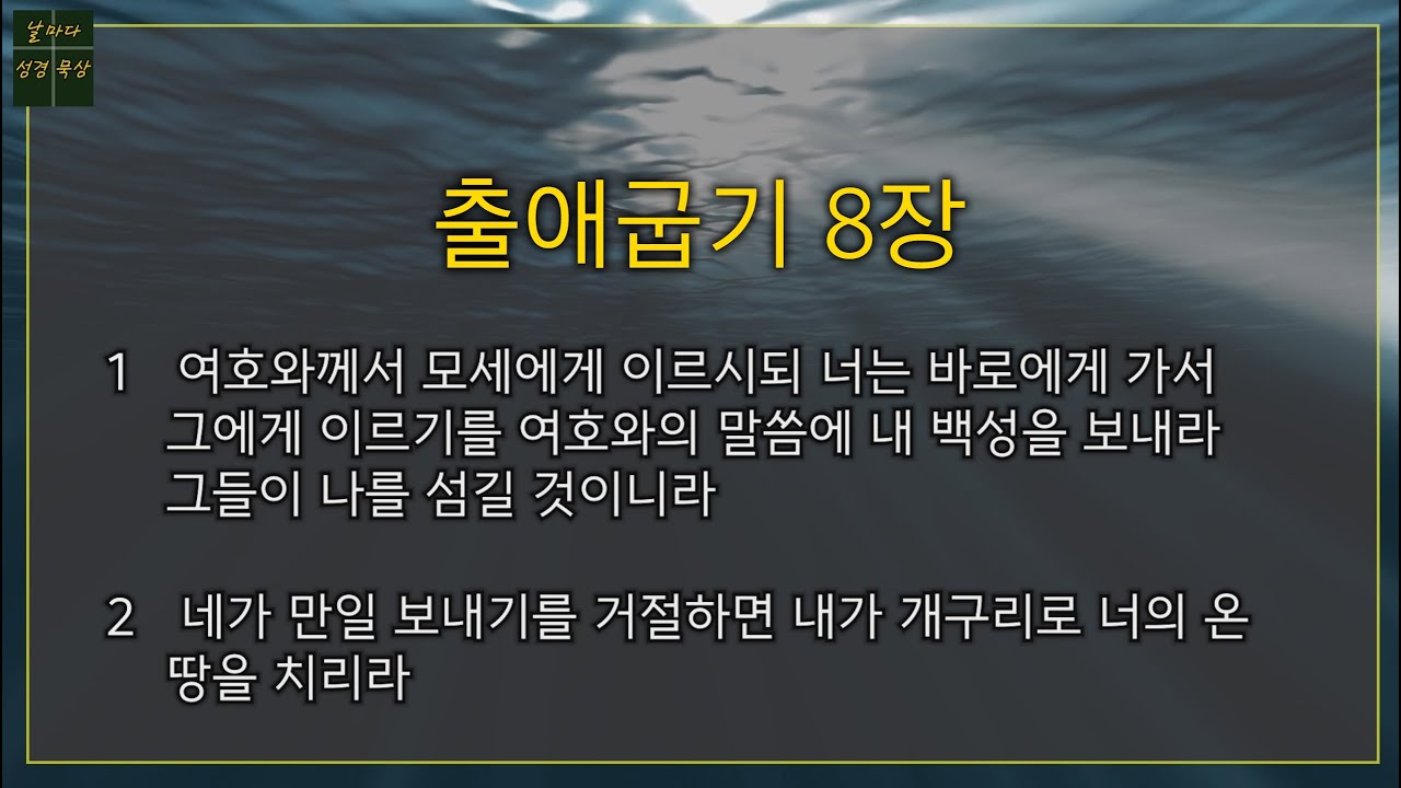 8 Exodus Chapter 8 YouTube 8 Exodus Chapter 8 Youtube