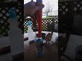 Gp pointer review
