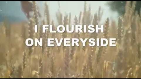 Rozey - iFlourish Prod. By Spiritual Beatz