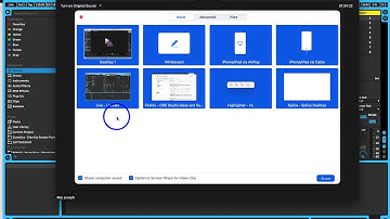 Selecting and sharing multiple windows and applications on zoom