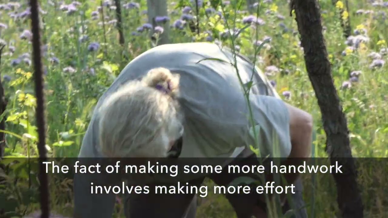 Domini Veneti from Veneto, Italy and its organic wines