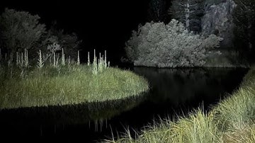 ​​stuck in a time loop