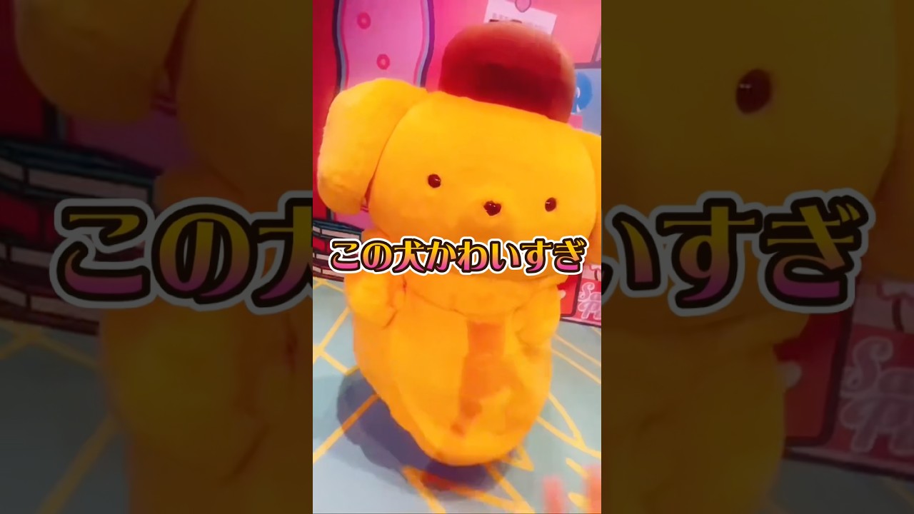 何もかもを投げ打ってピューロに逃避行した1日 #小桃ちび #サンリオ #推し活