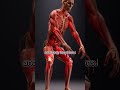 How Your Muscles Actually Move #anatomy #science