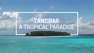 Zanzibar Adventures From Stone Town to Coral Reefs - TRAVELGUIDE