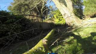 Special Branch cherry dismantle