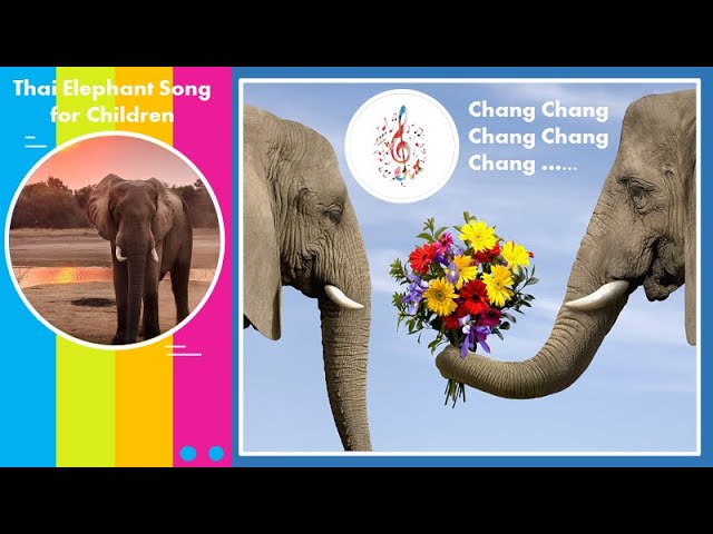Thai Elephant Song - Chang Chang Chang song
