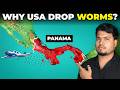 Why The USA Drops 15 Million Worms on Panama Every Week? | Kaushik bhattacharjee