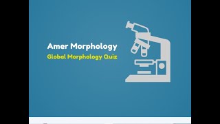 Morphology Quiz 39 for Lab staff and Clinical Pathologist-Quality Assessment slide