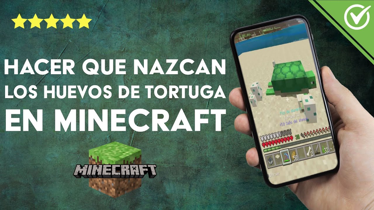 Como Hacer Eclosionar Un Huevo De Tortuga En Minecraft