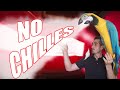 😱😢¿por qué CHILLAN los loros?👉evitar que mi loro GRITE o CHILLE (pautas y consejos)