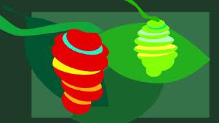 Colorful Caterpillar Song - Children's song and animation