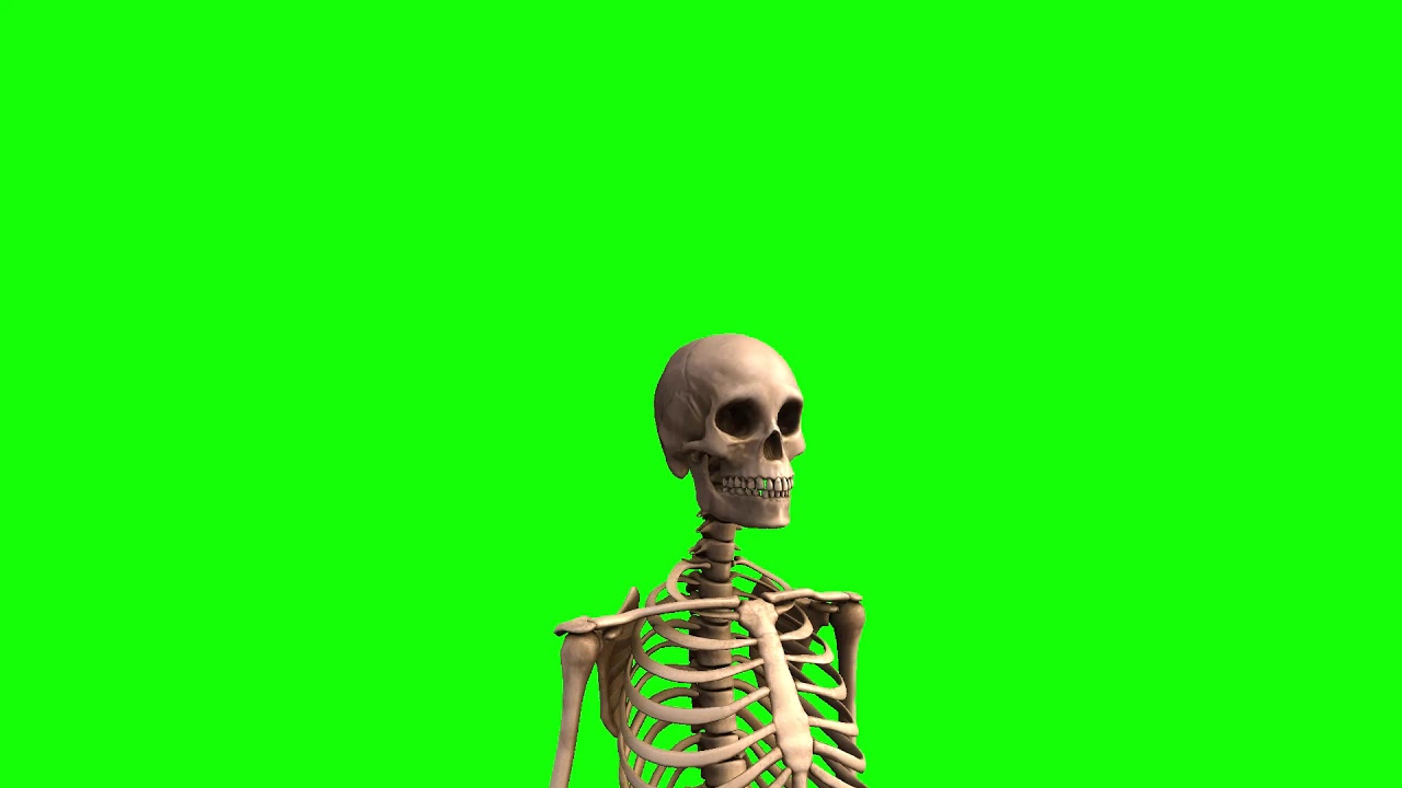 skeleton looking around free green screen - YouTube